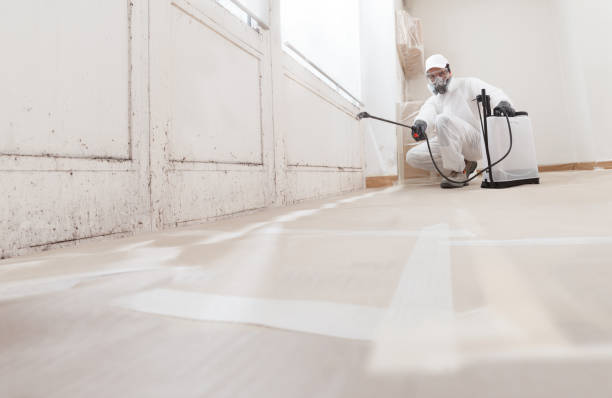 24/7 Emergency Mold Remediation experts in Cañon City, CO
